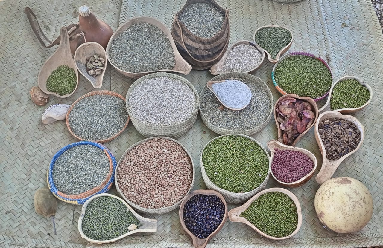 A variety of traditional seeds from the Tharaka-Nithi communities.