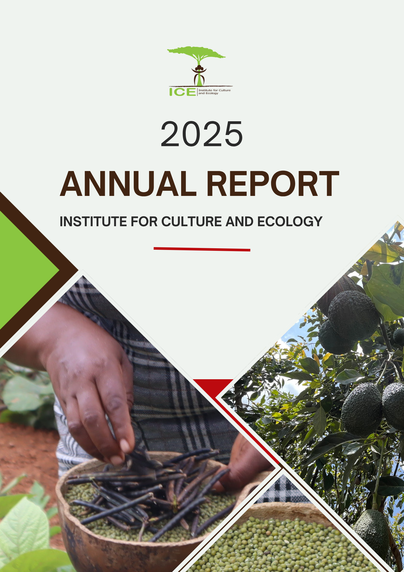 ANNUAL REPORT 2025